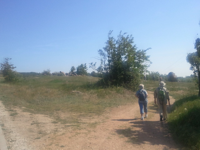 2017-05-20 09.43.55.jpg